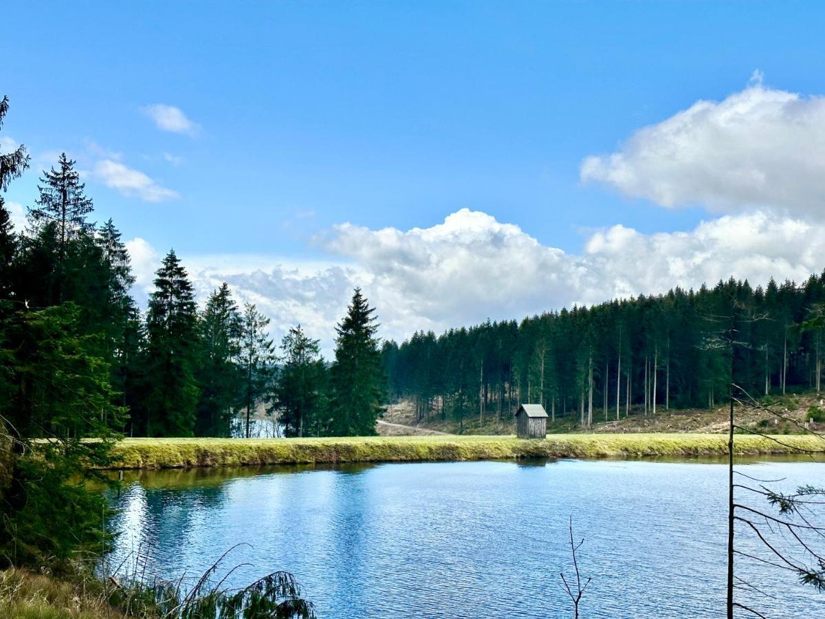 Schoene Aussicht! Langelsheim Bagian luar foto